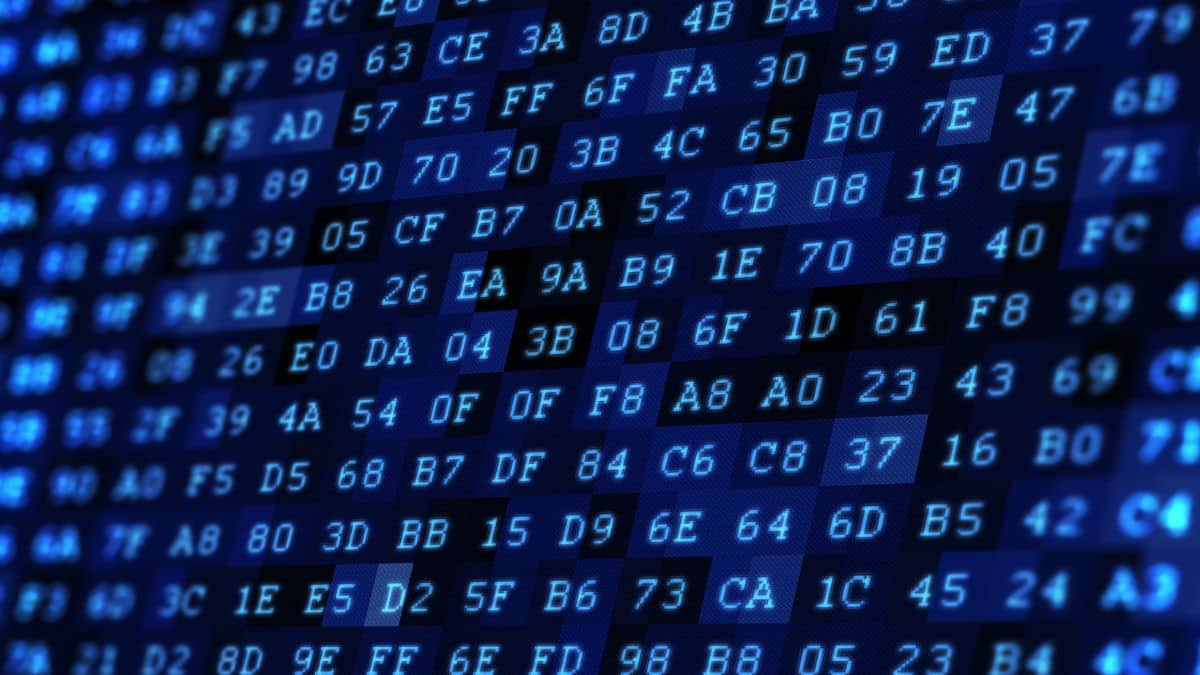 Algoritmo do Instagram