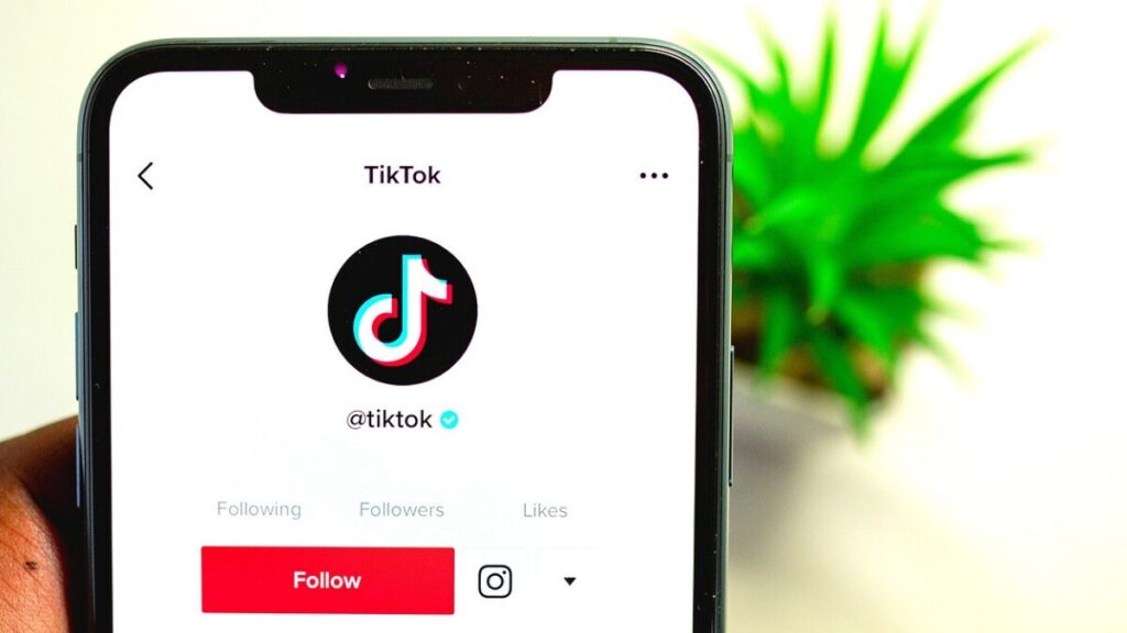 Smartphone exibindo a tela de músicas do TikTok com o logotipo da plataforma em destaque, posicionado ao lado de um pequeno vaso de planta.